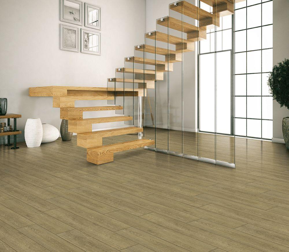 Decoria DryBack_ambient 2