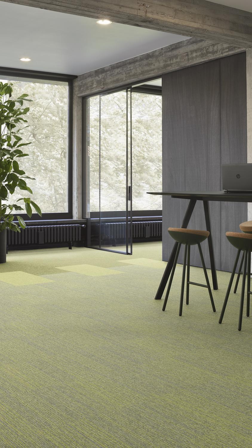 Ambient 1_Essence Stripe