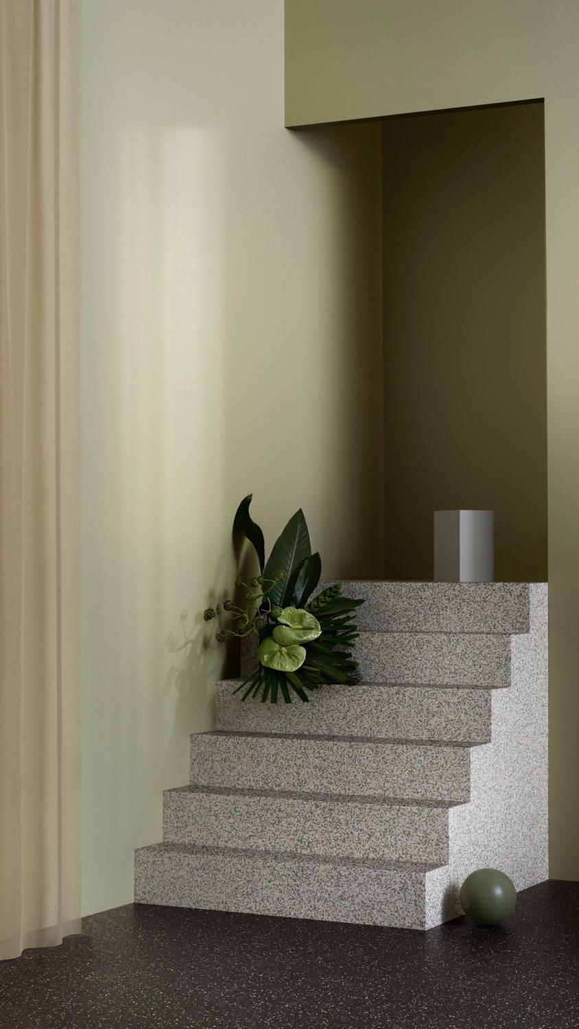 IQ Surface_ambient 1